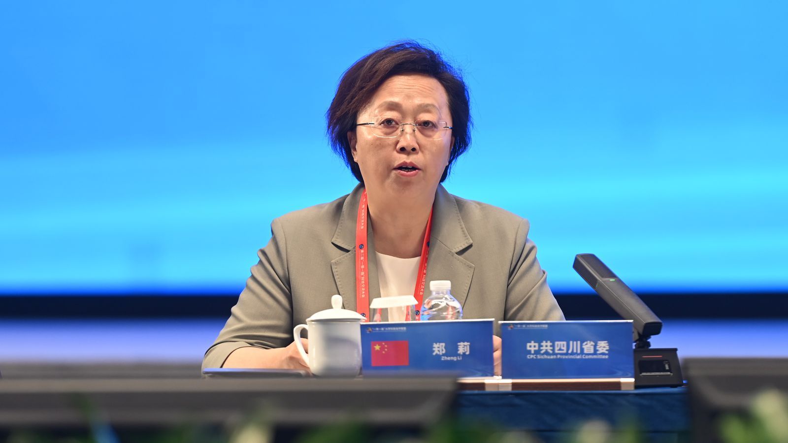 6四川省委常委、宣传部部长郑莉_副本.jpg